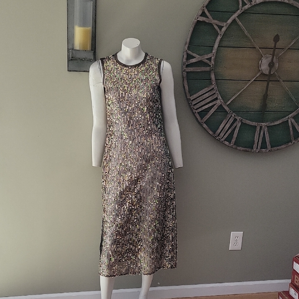Anthropologie Corey Lynn Calter  Sequined Swing  Maxi Dress